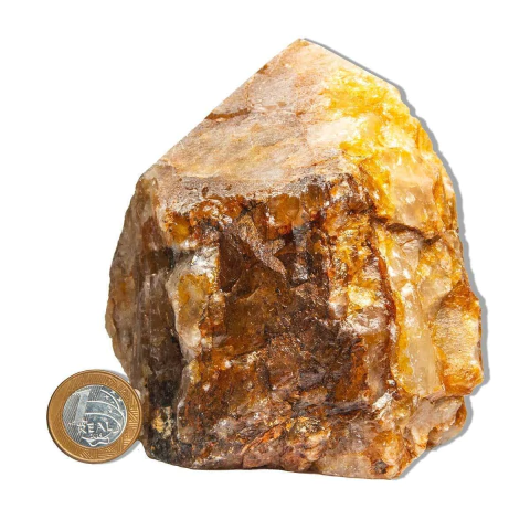 01 Hematoide Amarelo Pé e Bico 15 a 25cm 1 a 1.5kg Tipo B