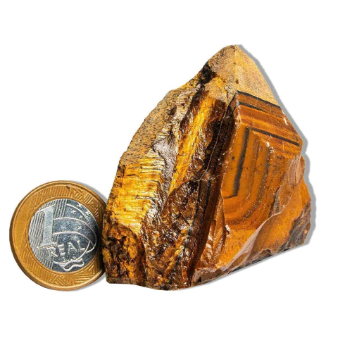 01 Olho de Tigre Pé e Bico 5 a 9cm 100 a 200g Tipo B