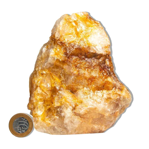 01 Hematoide Amarelo Pé Serrado 15 a 25cm 1,5 a 2kg Tipo B