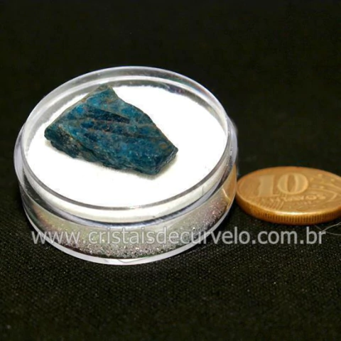 Apatita Azul Natural Pedra do Ano 2022 No Estojo Cod 131384