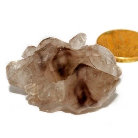 Elestial Cristal Jacare Extra Natural Geminado 135680