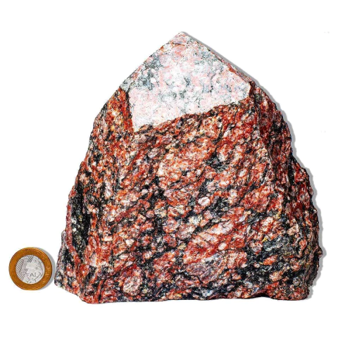 01 Unakita Pé e Bico Serrado 15 a 25cm 1.5 a 2kg Tipo B