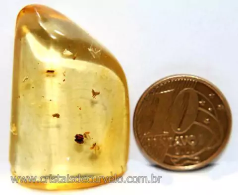 Ambar Pedra Natural Fossilizado Rocha Organico Cod AB6708