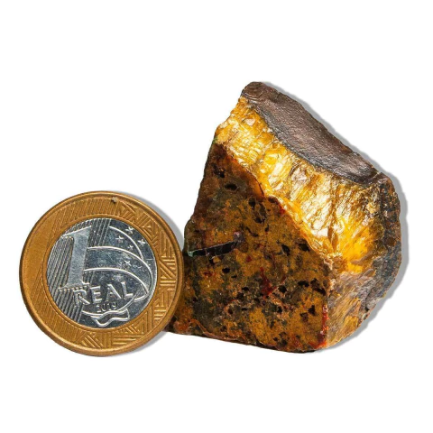 01 Olho de Tigre Pé Serrado 5 a 9cm 50 a 100g Tipo B