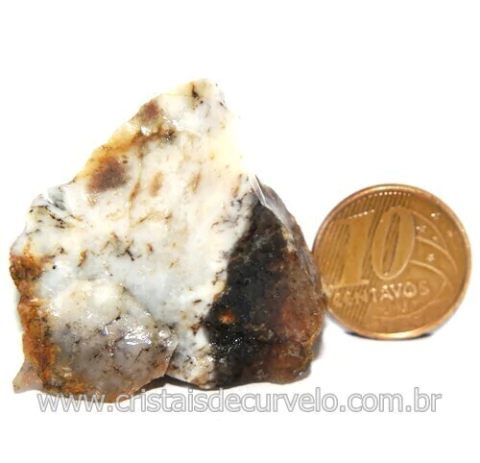 Agata Com Dendrita Pedra Calcedonia Natural de Coleção