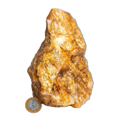 01 Hematoide Amarelo Pé Serrado 15 a 25cm 3 a 4kg Tipo B