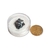 Galena Bruto Fragmento No Estojo Mineral Natural 18mm 16,5ct