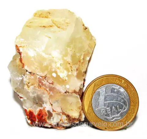 Opala Pedra Bruto Orgânico Fossilizado P/ Coleção Cod 104338