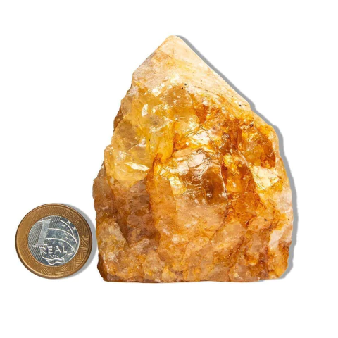 01 Hematoide Amarelo Pé e Bico 8 a 12cm 400 a 500g Tipo B