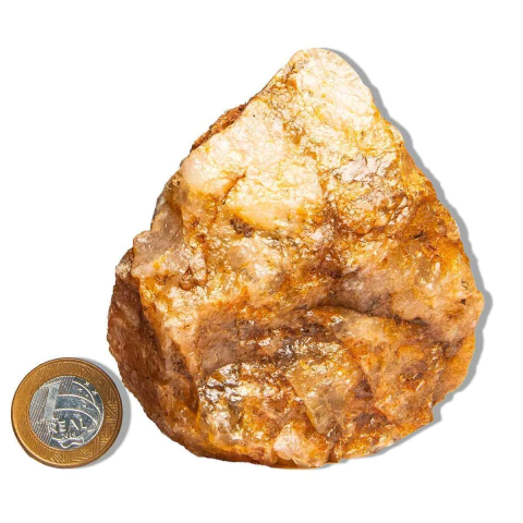 01 Hematoide Amarelo Pé Serrado 10 a 15cm 500 a 700g Tipo B