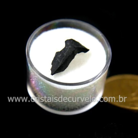 Azeviche ou Linhito No Estojo Ambar Negro Organico Cod 135927