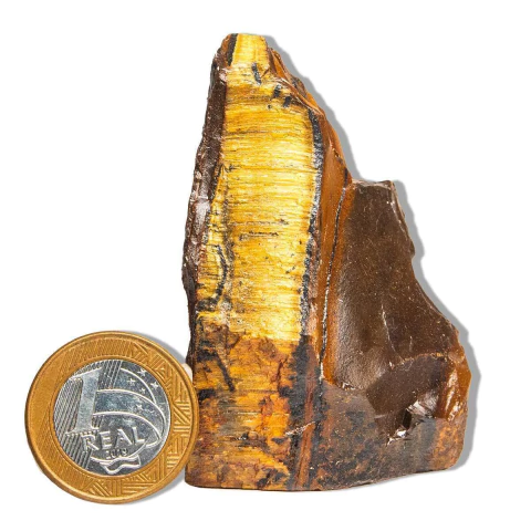 01 Olho de Tigre Pé Serrado 5 a 9cm 100 a 200g Tipo B