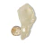 Ponta Cristal Prasiolita Verde Pedra Natural 55g 72mm na internet