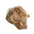 01 Elestial Jacaré Pedra Natural 600 a 700g 9 a 15cm Tipo A - comprar online