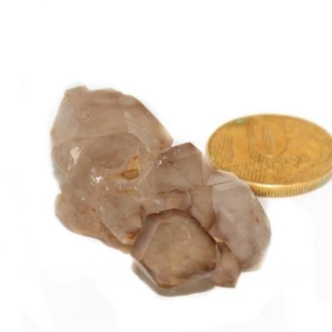 Elestial Cristal Jacare Extra Natural Geminado Cod 135676