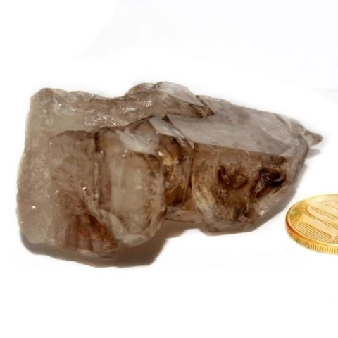 Elestial Cristal Jacare Extra Natural Geminado Cod 135668