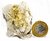 Mica Estrela Na Matriz Quartzo e Albita Aglomerado Cod 106092