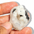03 Pedra da Lua Verdadeira e Natural Bruto 30 a 40g Classe B - loja online