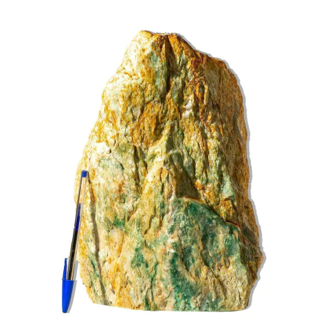 01 Jadeita Pé Serrado Natural 10 a 13Kg 25 a 35cm Tipo C