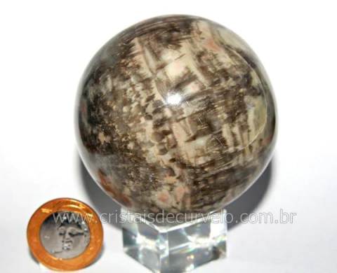 Esfera Pedra Dolomita Cinza Bola Mineral Natural Cod ED4062