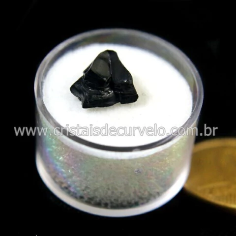 Azeviche ou Linhito No Estojo Ambar Negro Organico Cod 135921