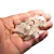 Topázio Branco 5 a 10mm 200g Bruto Natural Pedra de 2025 - buy online
