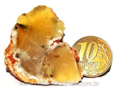 Opala Pedra Bruto Orgânico Fossilizado P/ Coleção Cod 104332
