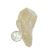 Ponta Cristal Prasiolita Verde Pedra Natural 55g 72mm - comprar online