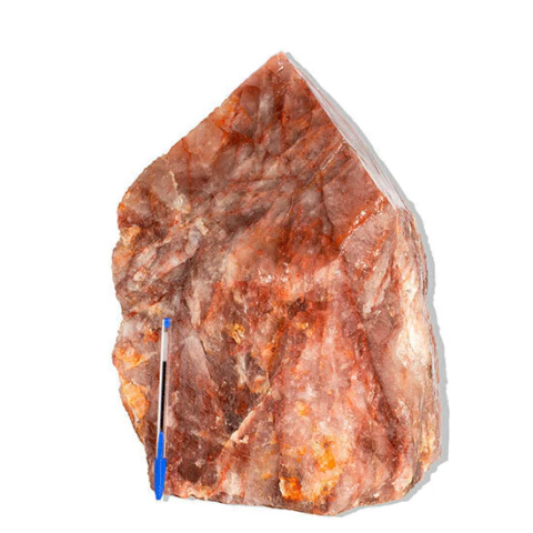 Hematoide Vermelho Pé e Bico Serrado 22Kg 36cm Tipo B