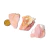 05 Opala Rosa Natural Pedra Bruta 20 a 60mm 10 a 25g na internet