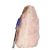 01 Cristal Rosa Pé Serrado 14 a 18cm 2 a 3kg Tipo B - comprar online