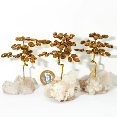 04 Árvore Da Felicidade Pedra Jaspe Amarelo na Drusa Atacado