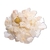 Topázio Branco 10 a 20mm 100g Bruto Natural Pedra de 2025 - comprar online