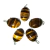 05 Pingente Cabochão Olho de Tigre Montagem Garra Prata 950