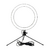 Kit Aro de Luz (26 cm).- Jessamy