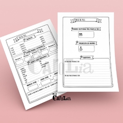 Cuaderno Kakebo (método para ahorrar) - impreso en internet