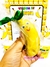 VITAMINA DE BANANA - Prof Lidiani Florencio