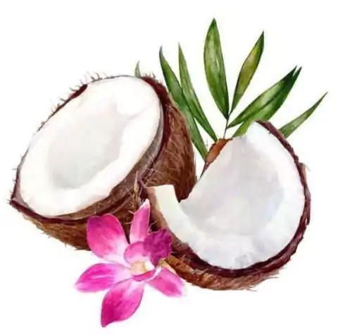 Coco mkp