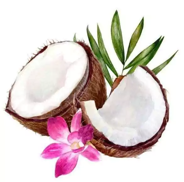 Coco mkp