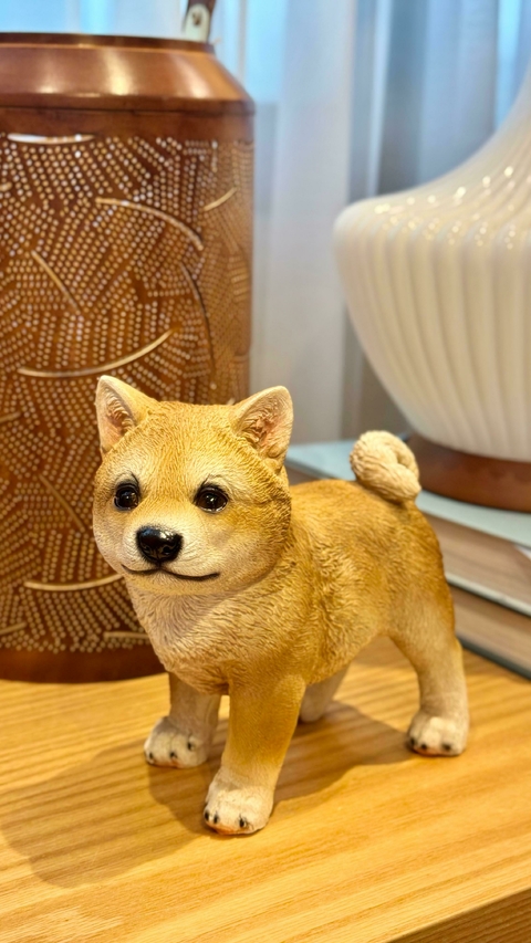 Cachorros decorativos