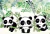 Fundo Fotográfico - Panda
