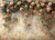 Fundo Fotográfico - Adriana Arouck - Dia das mães - AD20315 - comprar online