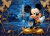 Fundo Fotográfico - Adriana Arouck - MICKEY REALEZA - AD5478
