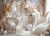 Fundo Fotográfico - Adriana Arouck - SMASH THE CAKE - CISNE - AD6540