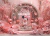 Fundo Fotográfico - ADRIANA AROUCK - MINNIE MOUSE - AD7935