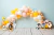 Fundo Fotográfico - Baby Looney Tunes