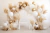 Fundo Fotográfico - Balões - Boho - CL2811