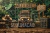 Fundo Fotográfico - Safari - CL2979
