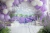 Fundo Fotográfico - Balões Floridos - CL2986
