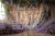 Fundo Fotográfico - Dia das Mães/Lavanda - CL3147